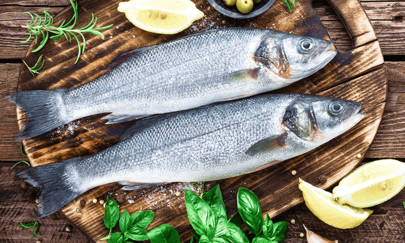 Seaculture | Freshness and flavor from the sea to the table